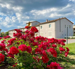 Agriturismo Saliceto